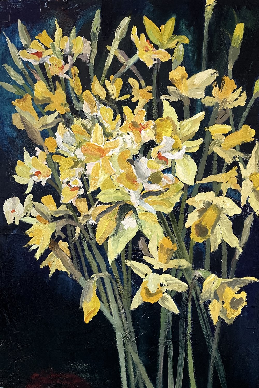 Simon Hadley Attard - Daffodils - oil on canvas, size: 65x45cm NFS