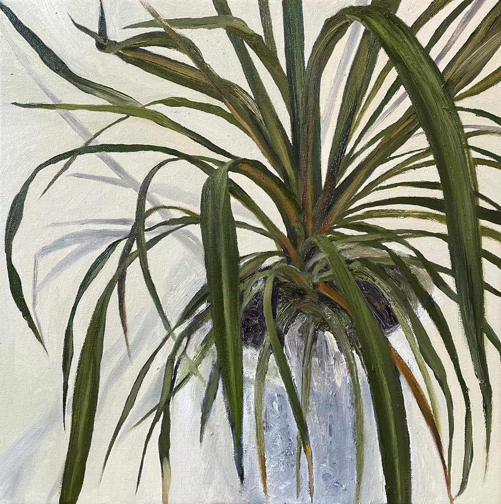 Simon Hadley Attard - A House Plant - oil on canvas, size: 40x40cm £700