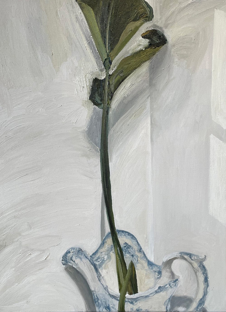 Simon Hadley Attard - Plant in the Studio - oil on canvas, size: 60x45cm £700